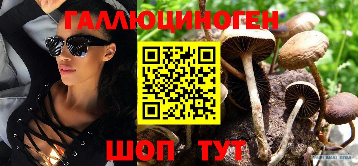 Галлюциногенные грибы MAGIC MUSHROOMS Протвино