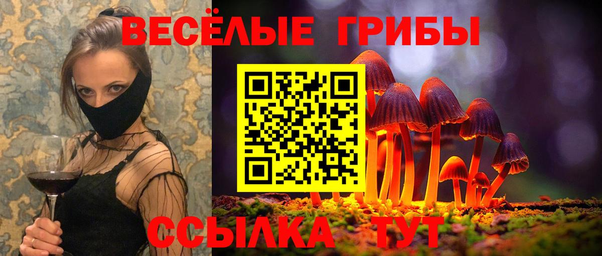 Галлюциногенные грибы прущие грибы  Вход с VPN  Протвино 