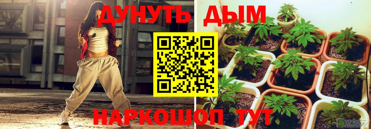 Конопля OG Kush  Вход с VPN  Шишки марихуана гибрид  Протвино 